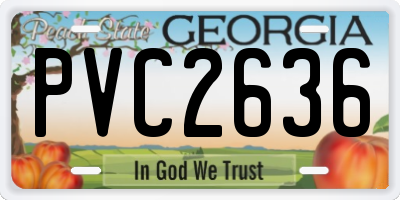 GA license plate PVC2636