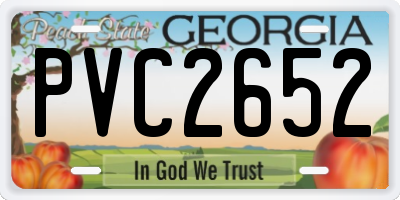 GA license plate PVC2652