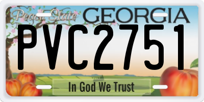 GA license plate PVC2751
