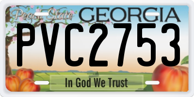 GA license plate PVC2753