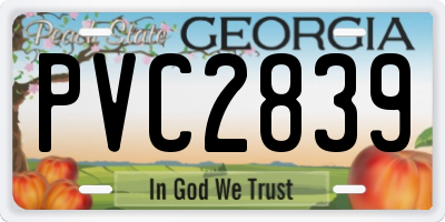 GA license plate PVC2839