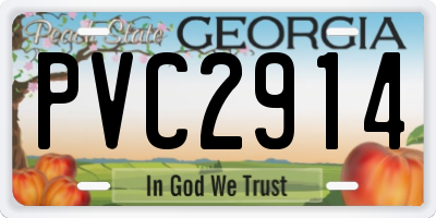 GA license plate PVC2914