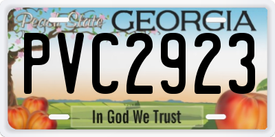 GA license plate PVC2923