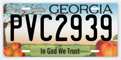 GA license plate PVC2939