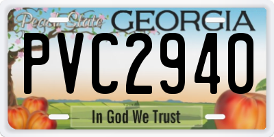 GA license plate PVC2940