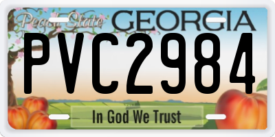 GA license plate PVC2984