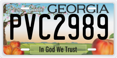 GA license plate PVC2989