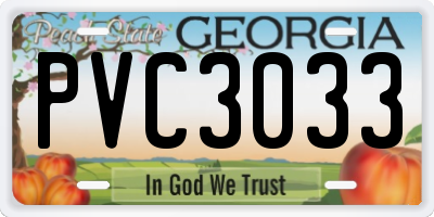 GA license plate PVC3033