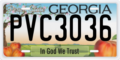 GA license plate PVC3036