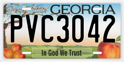GA license plate PVC3042