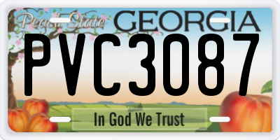 GA license plate PVC3087