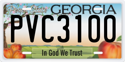 GA license plate PVC3100