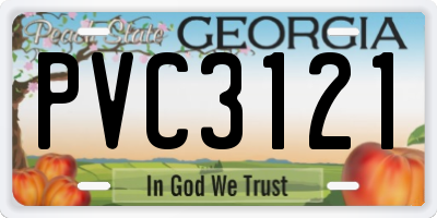 GA license plate PVC3121
