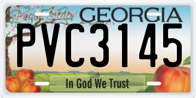 GA license plate PVC3145