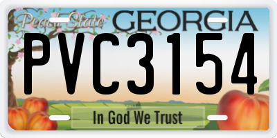 GA license plate PVC3154