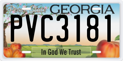 GA license plate PVC3181