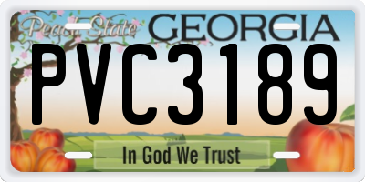 GA license plate PVC3189