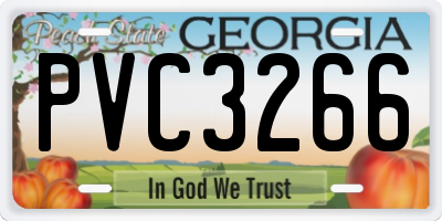 GA license plate PVC3266