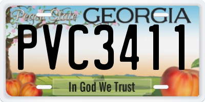 GA license plate PVC3411