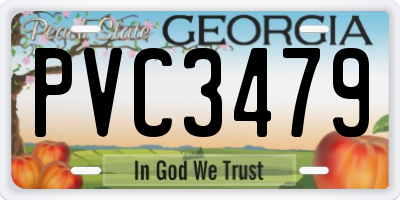 GA license plate PVC3479