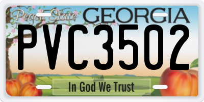 GA license plate PVC3502