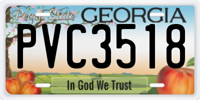 GA license plate PVC3518