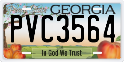 GA license plate PVC3564