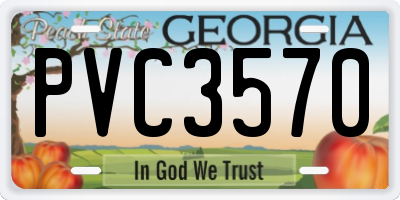 GA license plate PVC3570