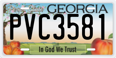GA license plate PVC3581