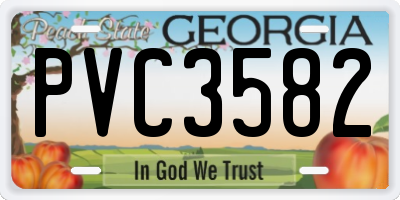 GA license plate PVC3582