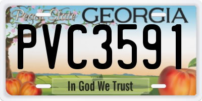 GA license plate PVC3591