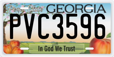 GA license plate PVC3596
