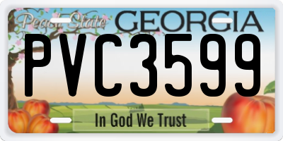 GA license plate PVC3599
