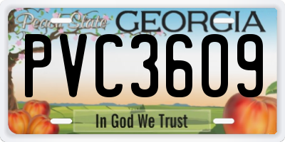 GA license plate PVC3609