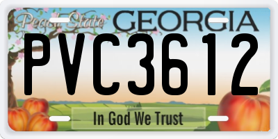 GA license plate PVC3612
