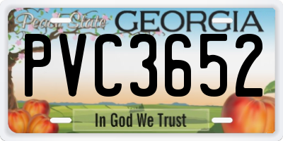 GA license plate PVC3652