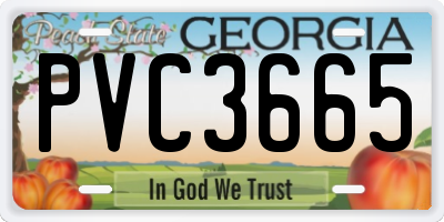 GA license plate PVC3665