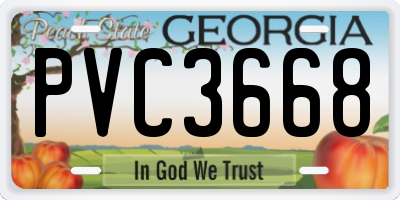 GA license plate PVC3668
