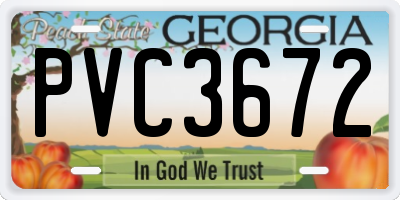 GA license plate PVC3672