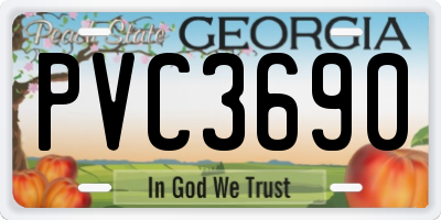 GA license plate PVC3690
