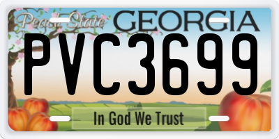 GA license plate PVC3699