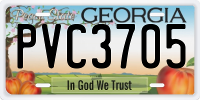 GA license plate PVC3705