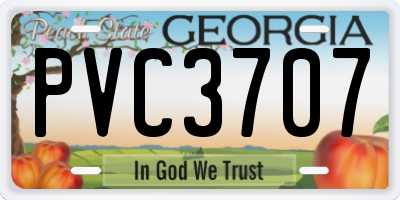 GA license plate PVC3707