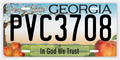 GA license plate PVC3708