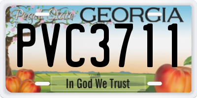 GA license plate PVC3711