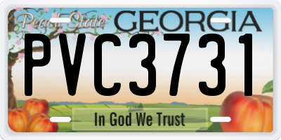 GA license plate PVC3731