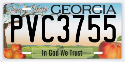 GA license plate PVC3755