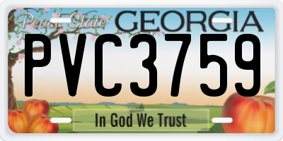 GA license plate PVC3759