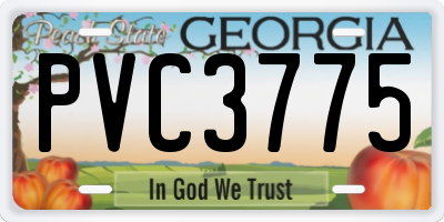 GA license plate PVC3775