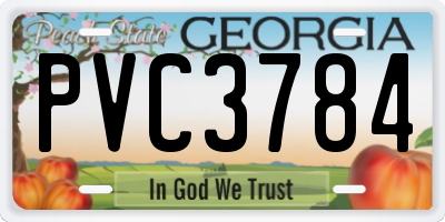 GA license plate PVC3784